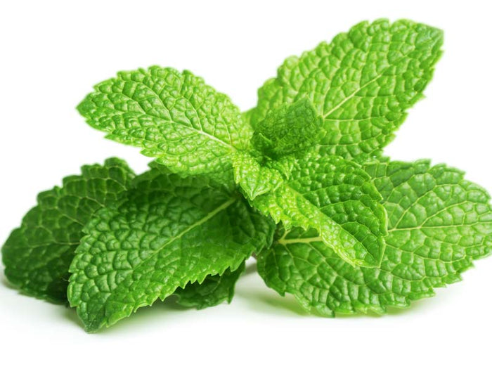 Peppermint