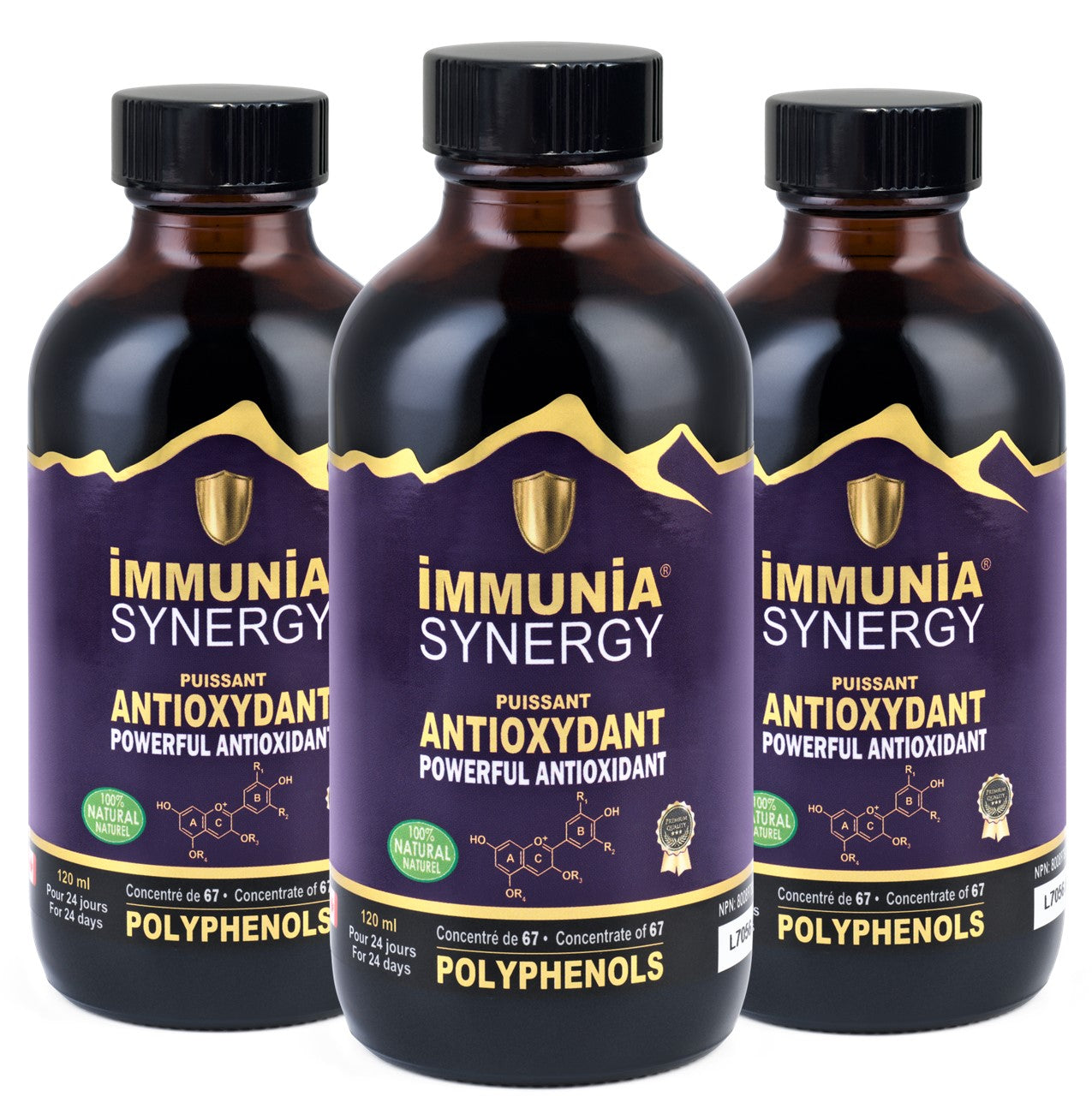 Immunia SYNERGY