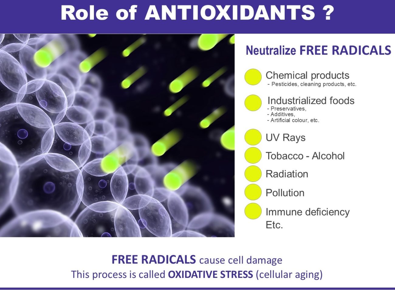 What is an ANTIOXIDANT Fruitomed CANADA Online store