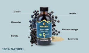 Anti-inflammatory - Berries - Elderberry - Polyphenols (3)
