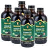 ELDERBERRY SYRUP IMMUNIA - 6 bottles