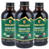 ELDERBERRY SYRUP IMMUNIA - 3 bottles