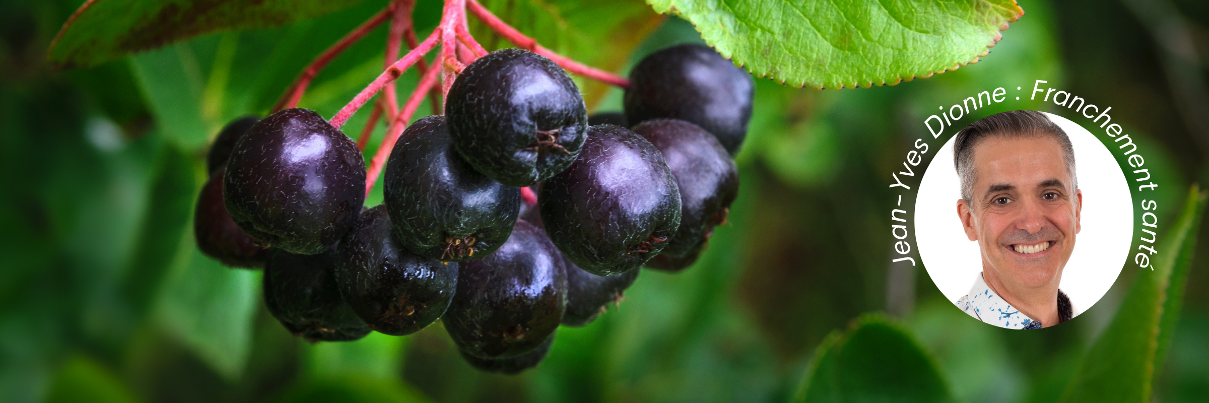 Featured image for “Learn More About Aronia with Jean-Yves Dionne”