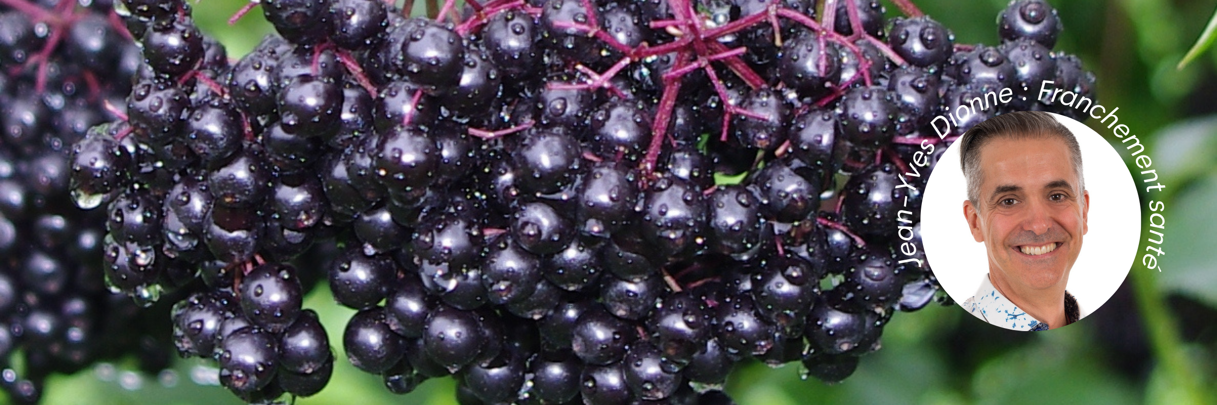 Featured image for “The Most Antioxidant-Rich Fruits with Jean-Yves Dionne”